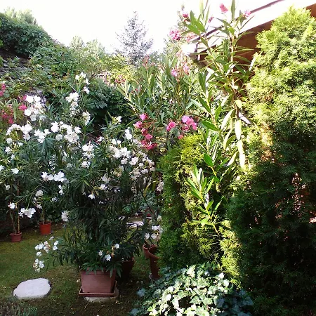 Zoeld Sziget Vendeghaz 3* Eger