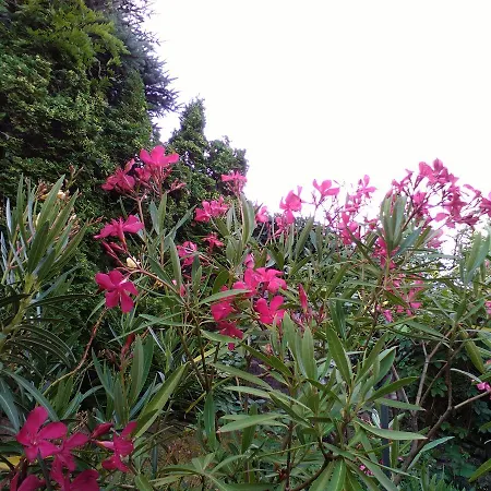 Penzion Zoeld Sziget Vendeghaz 3*