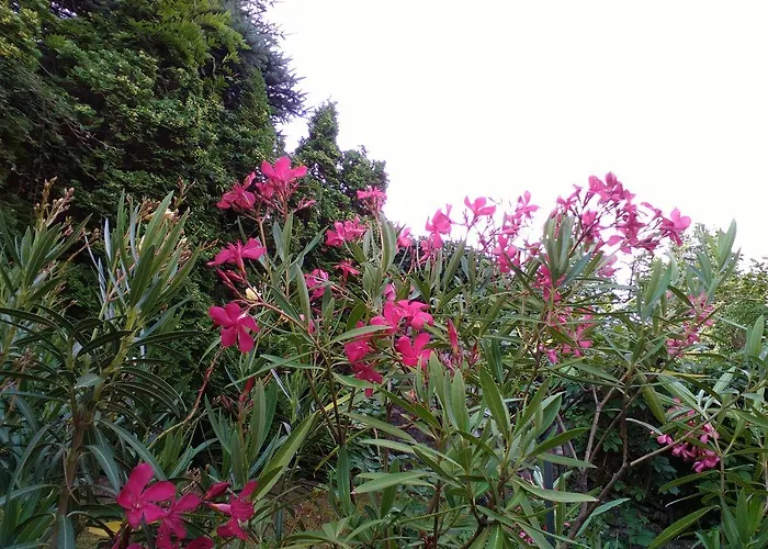 Vendégház Sziget 3*